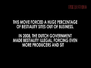 Woman Makes Horse Cum Porn