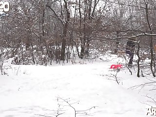 Letting My Dog Lick My Pussy Porn