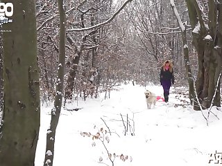 Letting My Dog Lick My Pussy Porn