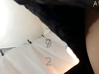 Dog Huge Cock Porn