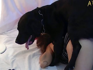 Dog Huge Cock Porn