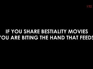 Cumming Inside My Dog Porn