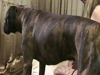 Dog Fucking Human Porn