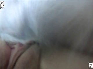 Dog Blowjob Porn Gay