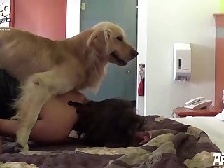 Horse Mare Anal Porn