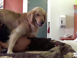 Horse Mare Anal Porn