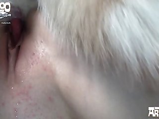 Woman And Dog Sex Porn