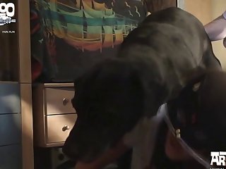 Dog Suck Pussy Porn