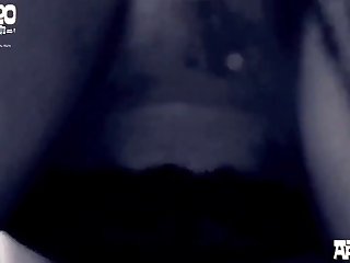 Porn Horse Compilation