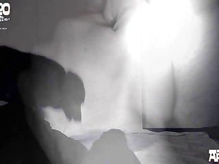 Porn Horse Compilation