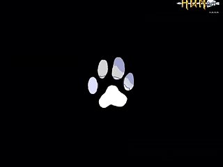 Logan Guminski Video With Dog Porn