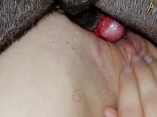 Animal Movie Sex Scenes