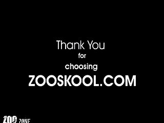Art Of Zoo Porn Vids
