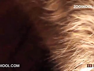 Japan Dog Porn