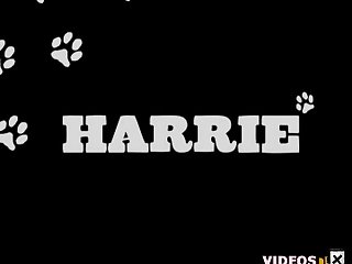 Porn Fucking Horse Pussy