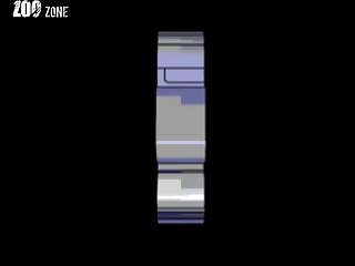 Horse Cock In Ass Porn