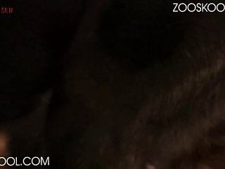 Female Dog And Man Porn