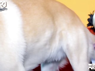 Male Dog Anal Zoo Porn