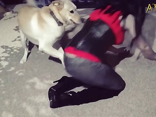 Juno Horse Porn