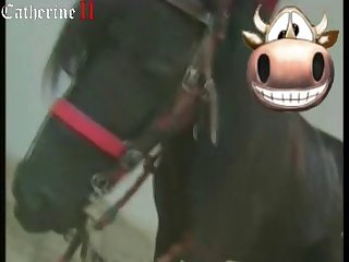 Zoofilia Con Perros 2022