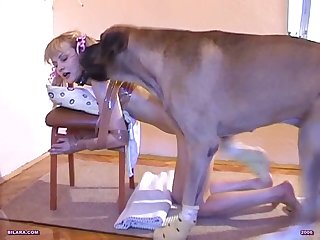 Porno Mundo Animal