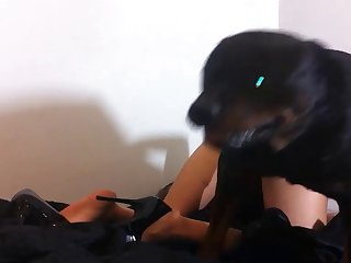 Telegram Porno Animal