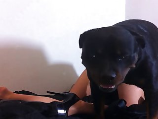 Telegram Porno Animal