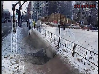 Videos Porno Com Animal Sesso