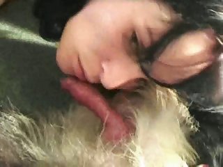 Porno Gay Transando Com Animal