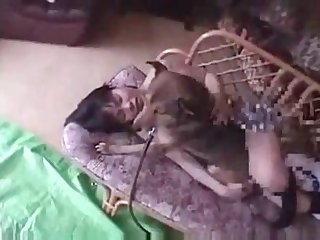 Porno Animal Com Mulheres Gostosas