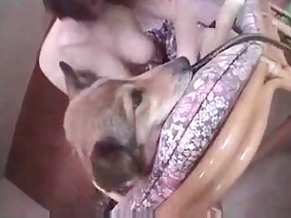 Porno Animal Com Mulheres Gostosas