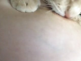 Desi Bhabhi Xxx Hd Porn