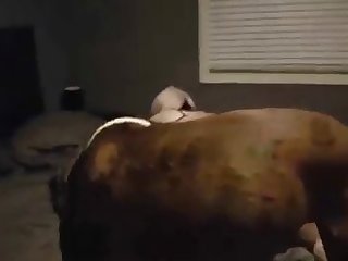 Cockman 3d Xxx Porn