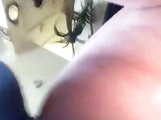 Venezolana Tetona Xxx Porn