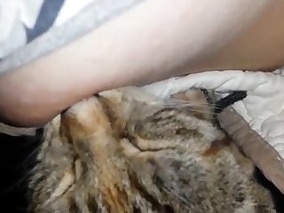 Porn Star Xxx Videos.com