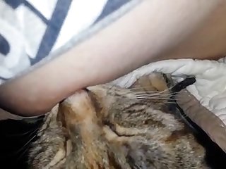 Porn Star Xxx Videos.com