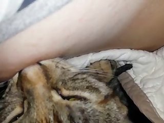 Porn Star Xxx Videos.com