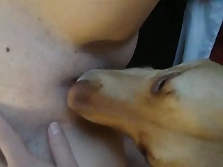 Star Wars Xxx A Porn Parody Interview