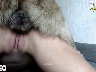 Animal Sex Xxl