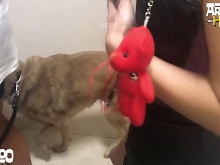 Animal Sex Xxl