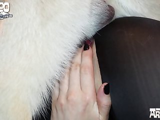 Animal Sex In The Zoo