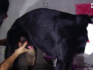 Animal Sex Wit Human