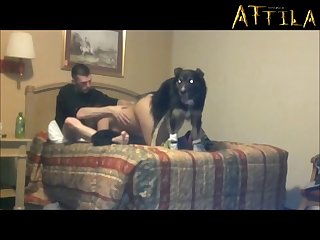 Zoo Porn Creampie