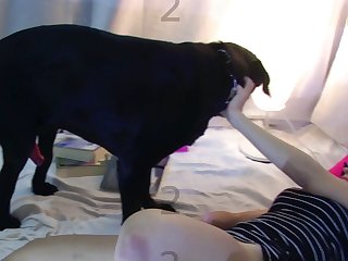 Animal Sex Prono
