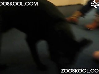 Animal Sex Porn Xxxxxxxx Xxxx Xxxxxx