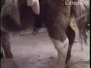 Skirby Dog Porn Video