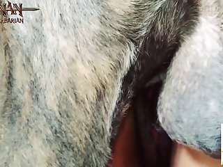 Strange Animal Sex Facts