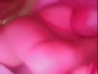 Animal Sex With Condom