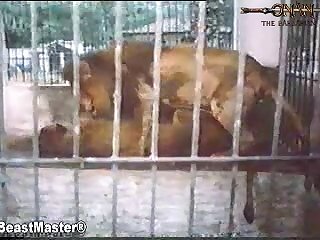 Clermont Twins Zoo Porn