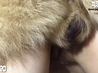 Women Animal Sex Gif